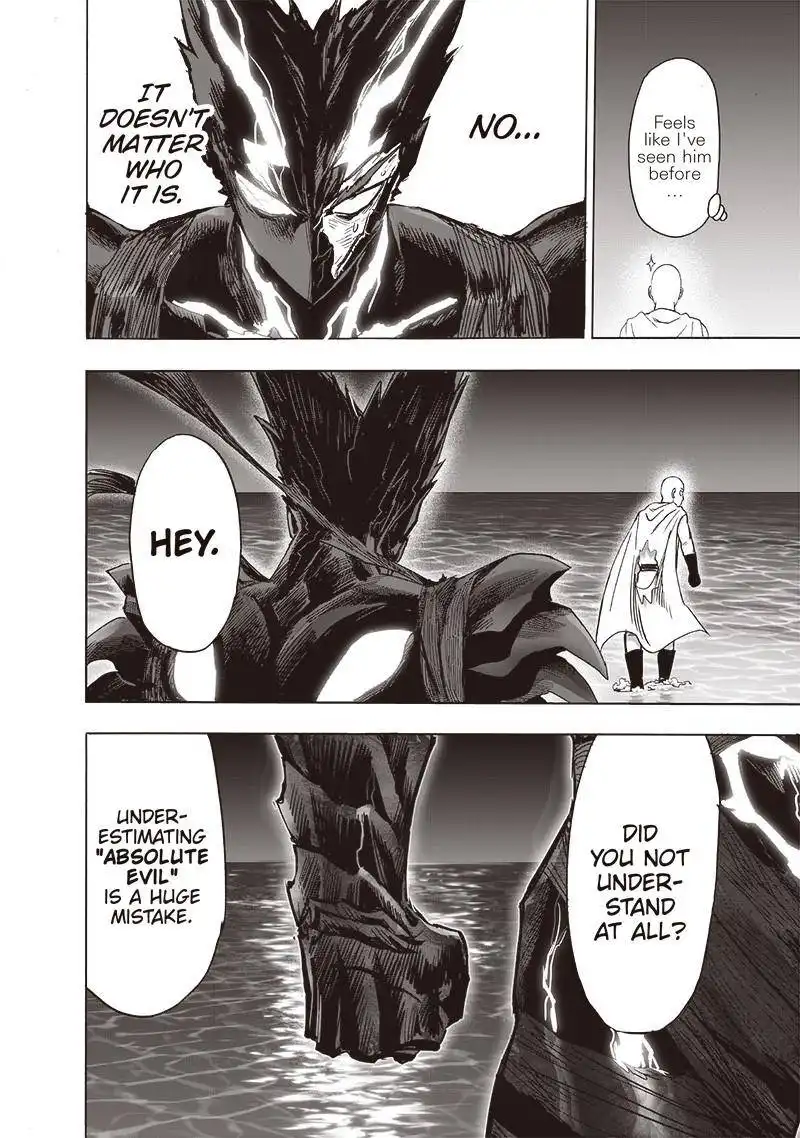 One-Punch Man Chapter 161 16